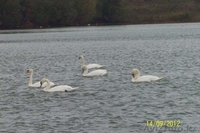 Продам дом в курортной зоне с.Макинка в 180 км от г.Астана - Изображение #6, Объявление #896399