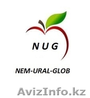 Продаем яблоки производства Польша - Изображение #1, Объявление #966604