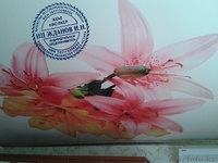 Бесшовные натяжные потолки. Фотопечать. - Изображение #2, Объявление #404350