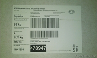 Продам Семгу Норвегия - Изображение #3, Объявление #971680