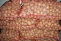 Картофель, морковь оптом - Изображение #3, Объявление #991679