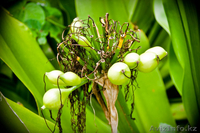 Фото-видео мастера - Изображение #4, Объявление #987469