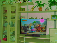 стенка-соло stenka-solo - Изображение #3, Объявление #990174