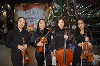 Скрипачка Luiza и Струнный квартет  - Изображение #1, Объявление #994891