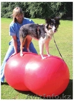 Фитбол плюс товар из Италии - Изображение #4, Объявление #992289