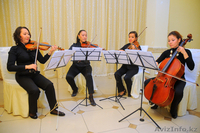 Скрипачка Luiza и Струнный квартет  - Изображение #5, Объявление #994891