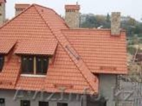 Дарменов Биембет, Аслан rinata2512@mail.ru 87716052295,  87789663336,87023149361 - Изображение #5, Объявление #1005653