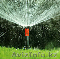 благоустройство озеленение полив - Изображение #5, Объявление #1025763