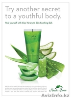 Aloe 94 % Алое гель 94% - успокаивающий гель для кожи. - Изображение #2, Объявление #1027836