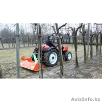 Измельчитель растительных остатков  Lince - Изображение #9, Объявление #1021325