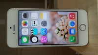 Продам iPhone 5S Gold 16Gb новый!!! - Изображение #1, Объявление #1062336