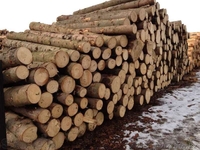 Оптовые поставки леса из Восточного Казахстана - Изображение #1, Объявление #1062151