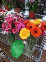 Флористическое оформление торжеств и праздников; Оформление офисов и бизнес встр - Изображение #5, Объявление #1077818