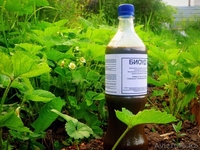 Удобрение БиоУд-1 - Изображение #3, Объявление #1102795