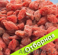 ЯГОДЫ ГОДЖИ В АСТАНЕ - Изображение #1, Объявление #1135953