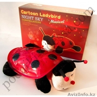 Детский  музыкальный ночник «Божья Коровка». - Изображение #3, Объявление #1128188