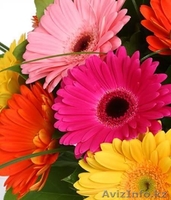 Доставка цветов по Астане и всему Казахстану - Изображение #3, Объявление #1144322