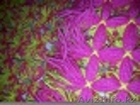 Изготавливаю детские пледы из помпонов - Изображение #9, Объявление #1159760