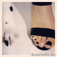 Мобильный салон красоты Crocodile - Изображение #3, Объявление #1167754