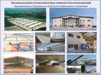 Комплексное внедрение Израильских инновационных технологий в сельское хозяйство - Изображение #3, Объявление #1157595