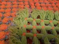 Изготавливаю детские пледы из помпонов - Изображение #2, Объявление #1159760