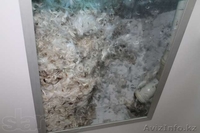 Чистка и реставрация подушек, перин, одеял в салоне "Данияра" - Изображение #2, Объявление #1156423