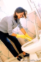 Уборка квартир с нашим пылесосом с вибро – выбивалкой. «Робоклин» - Изображение #7, Объявление #1179279