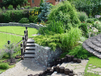 благоустройство озеленение полив - Изображение #1, Объявление #1025763