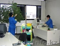 Профессиональные клининговые услуги всех видов - Изображение #3, Объявление #1176195