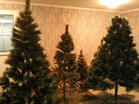 Новогодние елки и игрушки. Опт/розница. Акция! - Изображение #3, Объявление #1176470