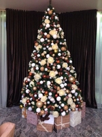 НОВОГОДНЕЕ ОФОРМЛЕНИЕ В АСТАНЕ - Изображение #3, Объявление #1176634