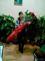 Цветочная компания ТОО Green Nature - Изображение #2, Объявление #1172861