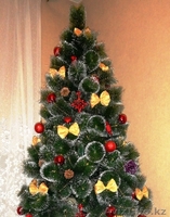 Почти «живые» ёлочки с бесплатной доставкой по Астане! - Изображение #2, Объявление #1191375