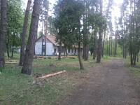 территория бывшего пионерлагеря - Изображение #2, Объявление #1198723