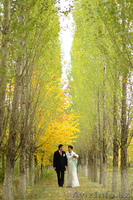 Фотограф в Астане Макс Лишанков - Изображение #7, Объявление #887363