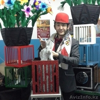 Заказать фокусника в Астане  - Изображение #2, Объявление #1217541