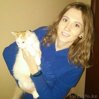 В связи с переездом подарю кошечку. - Изображение #2, Объявление #1241628