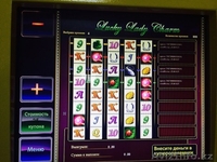 Подключение к лотерейной  системе - Изображение #9, Объявление #1173527