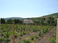 недвижимость в Болгари дом с винной избой и парником - Изображение #9, Объявление #1229309