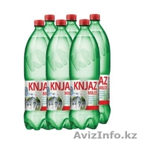 минеральная вода из сербии - Изображение #2, Объявление #1226718