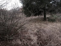 недвижимость в Болгари земельный участок местечко Добрева Чешма Варна - Изображение #2, Объявление #1243107