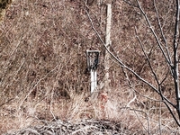 недвижимость в Болгари земельный участок в местечке Монастырский Рид Варна - Изображение #4, Объявление #1243105