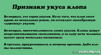 Дезинсекция помещений Клопы - Изображение #2, Объявление #1232884