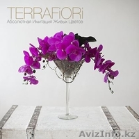 Terra Fiori / Терра Фиори - Изображение #1, Объявление #1259427