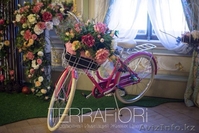 Terra Fiori / Терра Фиори - Изображение #2, Объявление #1259427