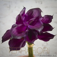 Terra Fiori / Терра Фиори - Изображение #6, Объявление #1259427