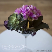 Terra Fiori / Терра Фиори - Изображение #4, Объявление #1259427