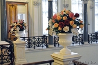 Terra Fiori / Терра Фиори - Изображение #3, Объявление #1259427