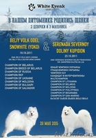 Щенки самоеда от пары МультиЧемпионов  - Изображение #1, Объявление #1273662