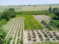 новый дом, 2-х этажный, блочно-кирпичный, со всеми удобствами, 15 сот.земли - Изображение #4, Объявление #1288149